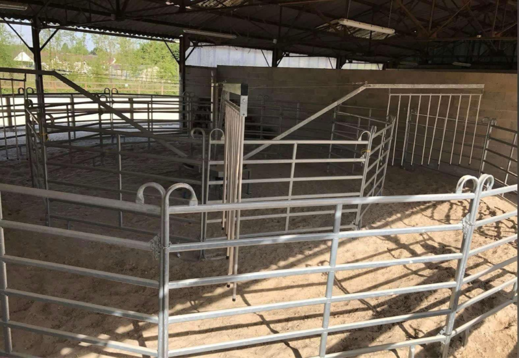 Marcheur pour chevaux quatre places.